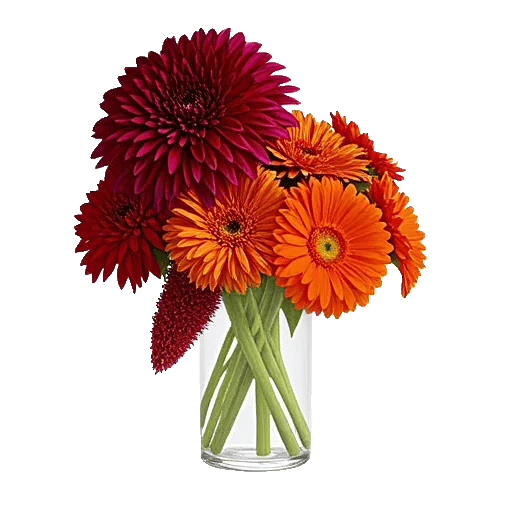 Crimson Blossom Harmony