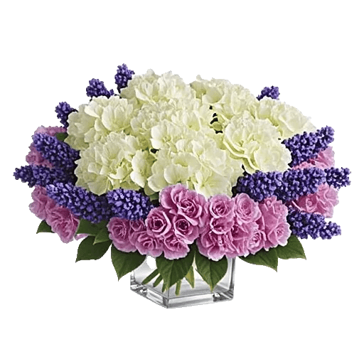 Serene Petal Harmony