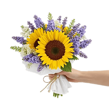 Twinkling Sunflower Dance