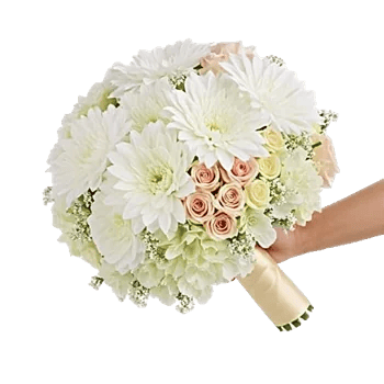 Ivory Garden Grace