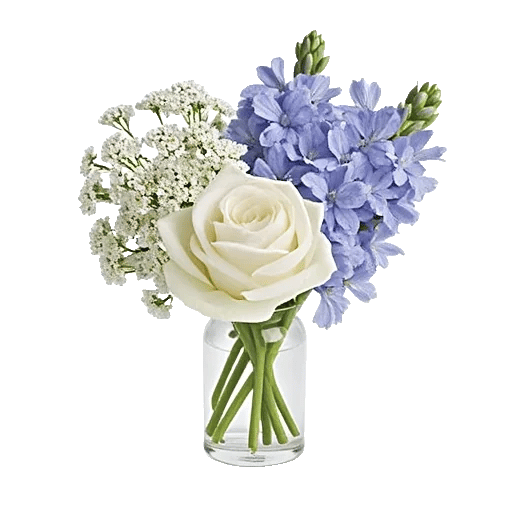 Blossom Petal Serenity