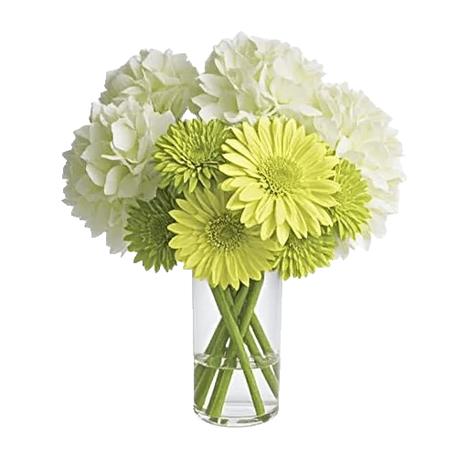 Ivory Blossom Radiance