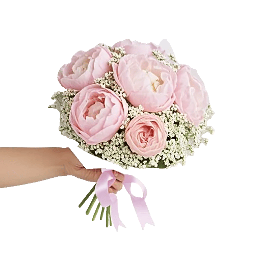 Peony Petal Harmony