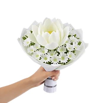 Minimalist White Orchids