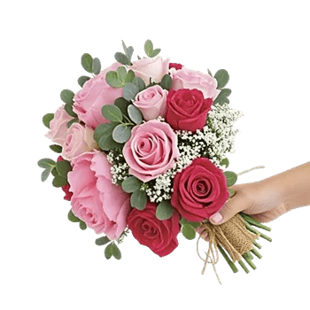 Peony Petal Harmony