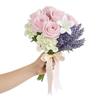 Delicate Petal Cascade