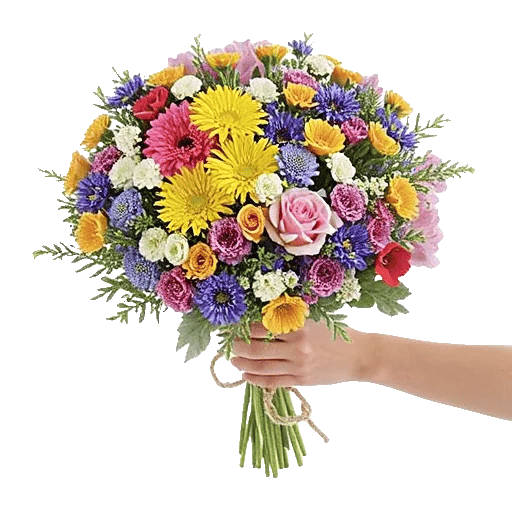 Fresh Meadow Blooms
