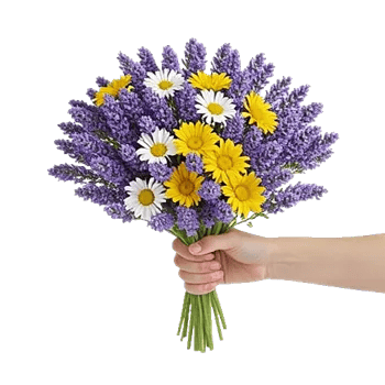 Lavender Bloom Grace