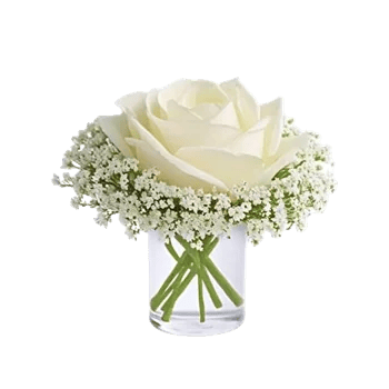 Delicate Petal Cascade