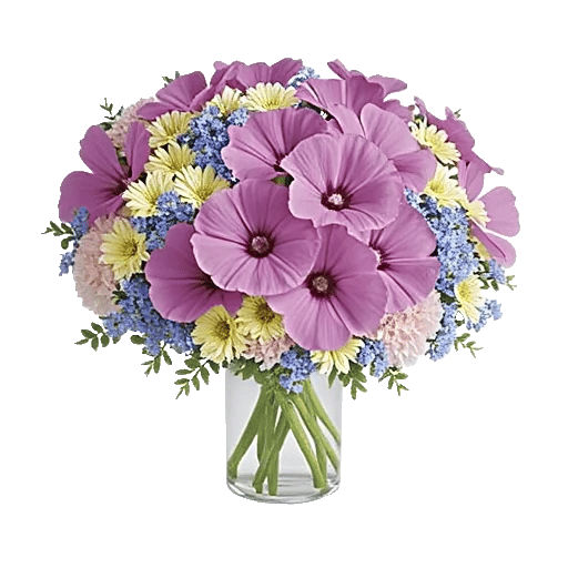 Petal Radiance Bliss