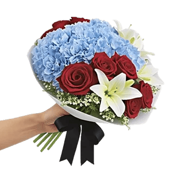 Serene Petal Harmony