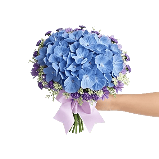 Sapphire Bloom Whisper