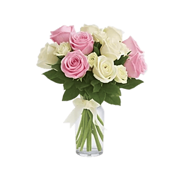 Radiant Rose Symphony