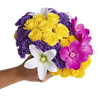 Blossom Harmony Display