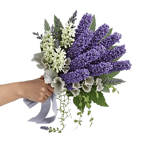 Rosemary Bloom Elegance