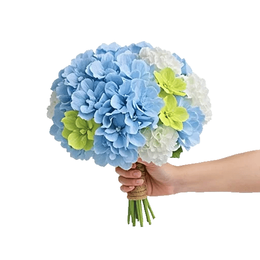 Serene Garden Harmony