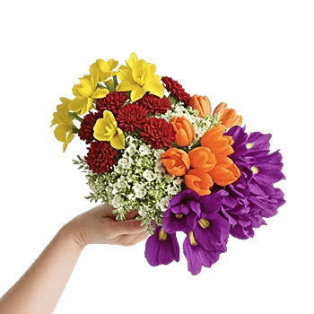 Blossom Harmony Display