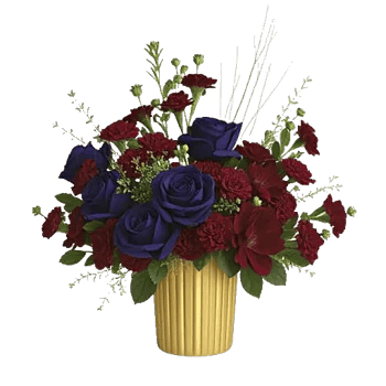 Regal Burgundy Display