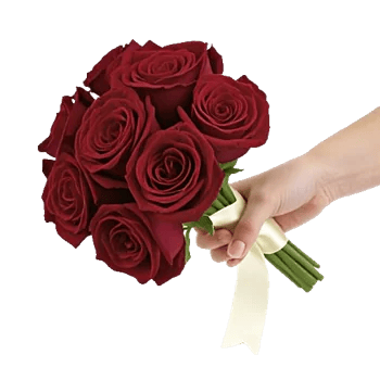Crimson Rose Elegance