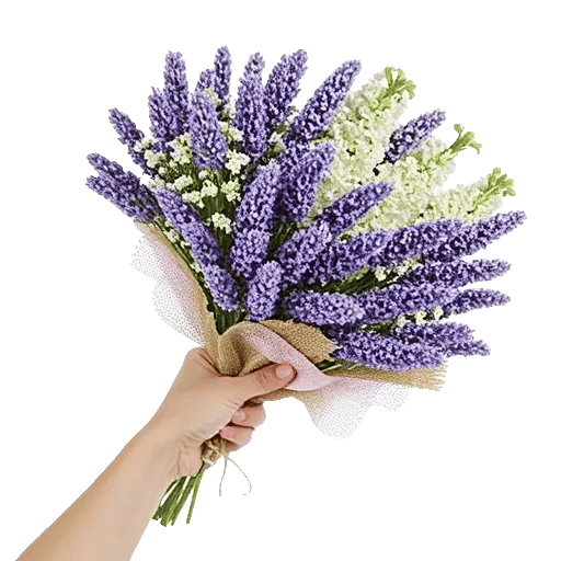 Lavender Bloom Grace