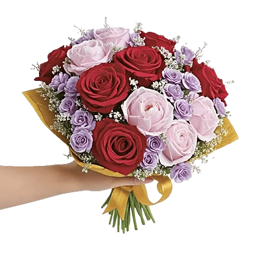 Crimson Rose Elegance