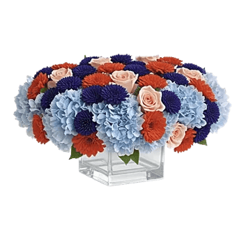 Sapphire Bloom Whisper