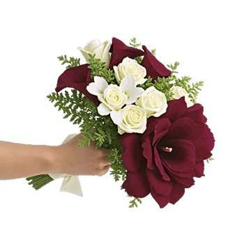 Elegant Calla Lilies