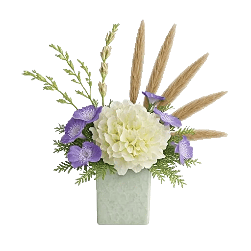 Ivory Blossom Radiance