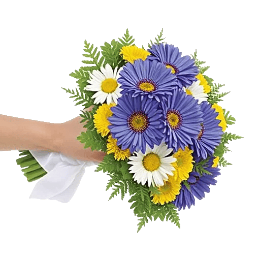 Blossom Petal Serenity