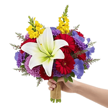 Blossom Harmony Display