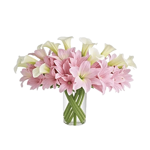 Elegant Calla Lilies