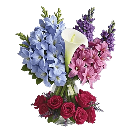 Elegant Calla Lilies