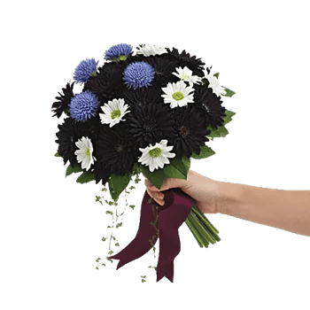 Crimson Blossom Harmony