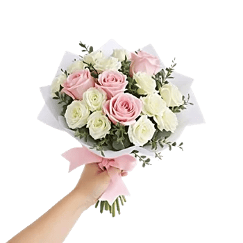 Pink Pastel Roses