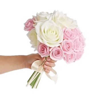 Blushing Rose Symphony