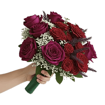 Crimson Rose Elegance