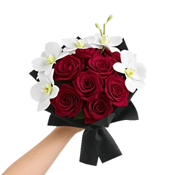 Crimson Rose Elegance
