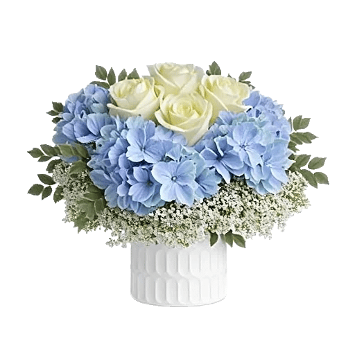 Sapphire Bloom Whisper