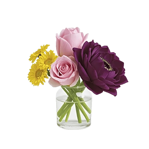 Petal Radiance Bliss