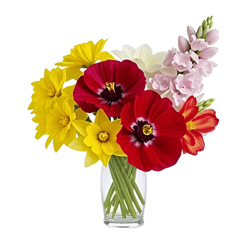 Petal Radiance Bliss