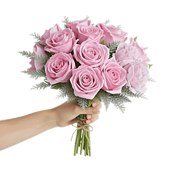 Pastel Pink Roses