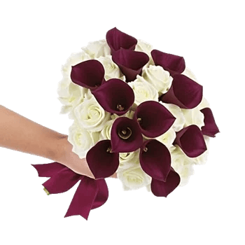 Elegant Calla Lilies