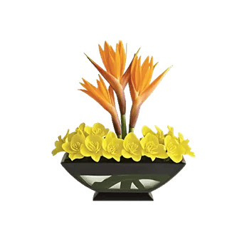 Orchid Petal Glow
