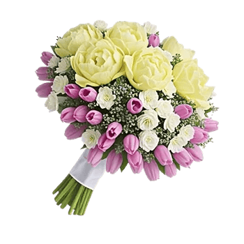 Delicate Petal Cascade