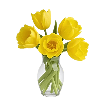 Velvet Tulip Display