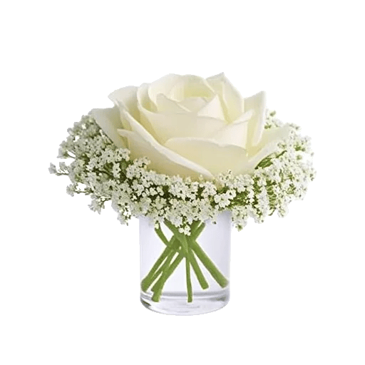 Delicate Petal Cascade