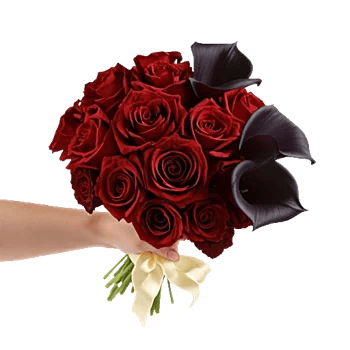 Elegant Calla Lilies