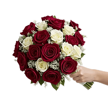 Blushing Rose Symphony