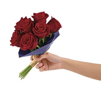 Crimson Rose Elegance