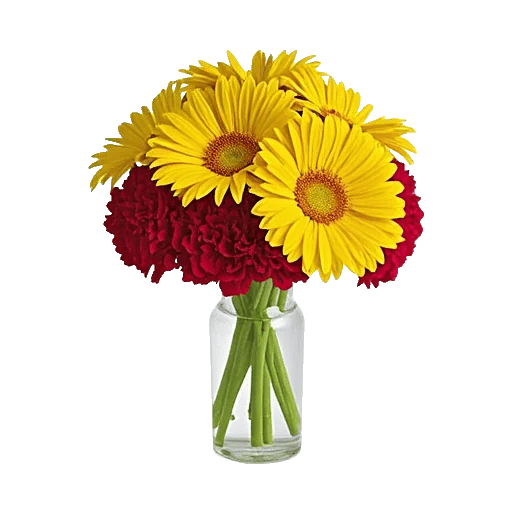 Petal Radiance Bliss